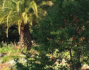 Unterkunft 048121002 - Ferienhaus Provence / Cote d'Azur - Vakantiehuisje in CHATEAUNEUF GRASSE