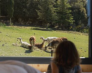 Ontspan in Huisje in Le Barroux, Provence, met een prachtig uitzicht op lama's in de natuurlijke omgeving vanuit de woonkamer.