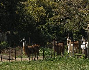 Verblijf 048127301 - Vakantiewoning Provence / Cote d'Azur - Huisje in Le Barroux