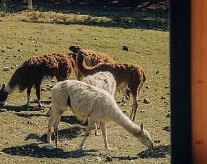 Verblijf 048127301 - Vakantiewoning Provence / Cote d'Azur - Huisje in Le Barroux