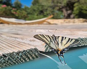 Verblijf 04815607 - Vakantiewoning Provence / Cote d'Azur - La Pinede