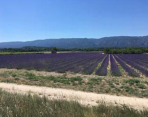 Verblijf 04816002 - Vakantiewoning Provence / Cote d'Azur - Mas