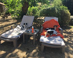 Verblijf 04816002 - Vakantiewoning Provence / Cote d'Azur - Mas