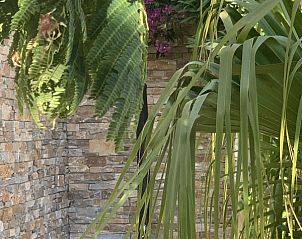 Verblijf 048599114 - Vakantiewoning Provence / Cote d'Azur - Villa Azur