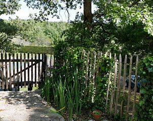 Ontdek de serene tuin van Villa Blacailloux, een vakantieverblijf in Tourves, Provence, omgeven door groene flora.