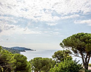 Verblijf 04888004 - Appartement Provence / Cote d'Azur - Appartement Hibiscus