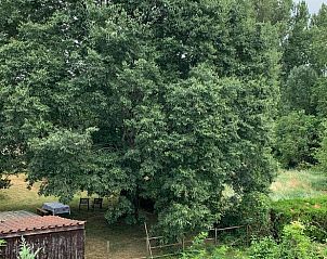 Guest house 04912002 - Holiday property Midi / pyrenees - Huisje in Albi