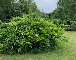 Guest house 04912002 - Holiday property Midi / pyrenees - Huisje in Albi