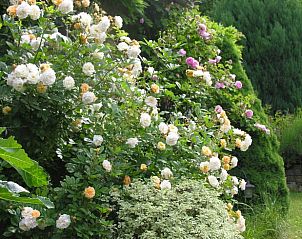 Verblijf 04948501 - Vakantiewoning Midi / Pyrenees - Vakantiehuis in Oust