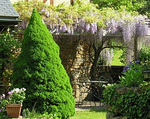 Gezellig vakantiehuis in Oust, te midden van de groene natuur van de Midi-Pyrenees in Frankrijk.
