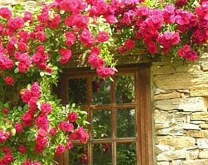 Verblijf 04948502 - Vakantiewoning Midi / Pyrenees - Vakantiehuis in Oust