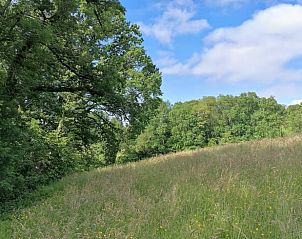 Guest house 04960402 - Holiday property Midi / pyrenees - Vakantiehuisje in le bas segala