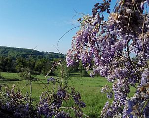 Guest house 04960403 - Holiday property Midi / pyrenees - Vakantiehuis in Le Bas Segala