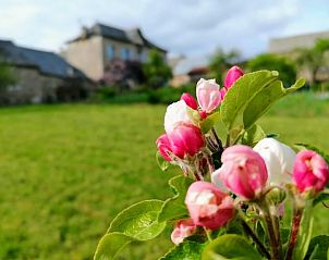 Guest house 04960403 - Holiday property Midi / pyrenees - Vakantiehuis in Le Bas Segala