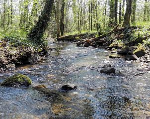 Guest house 04960403 - Holiday property Midi / pyrenees - Vakantiehuis in Le Bas Segala