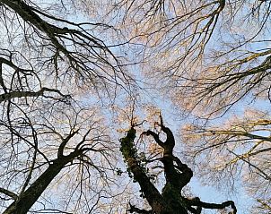 Guest house 04960403 - Holiday property Midi / pyrenees - Vakantiehuis in Le Bas Segala