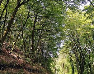 Guest house 04960403 - Holiday property Midi / pyrenees - Vakantiehuis in Le Bas Segala