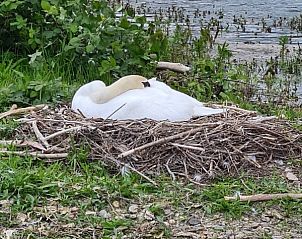 Verblijf 050613 - Vakantiewoning Limburg - vakantiewoning Tivoli