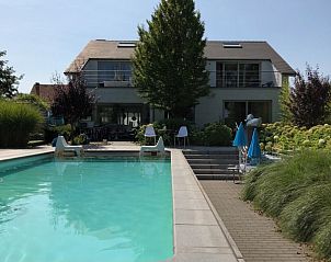 Buitenzwembad en villa bij Vakantievilla De Witte Merel, Paal, Beringen, Limburg.