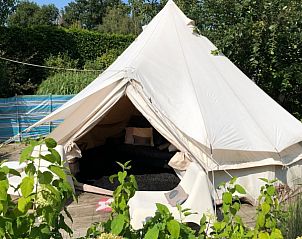 Glamping tent in groene omgeving bij Vakantievilla De Witte Merel, Paal, Beringen, Limburg.