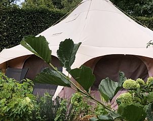 Glamping tent omgeven door natuur bij Vakantievilla De Witte Merel, Paal, Beringen, Limburg.
