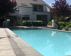 Zwembad met villa op achtergrond bij Vakantievilla De Witte Merel, Paal, Beringen, Limburg.