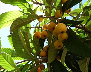 Verblijf 0515214 - Vakantiewoning Costa de la Luz - Hostal Campo Nuevo