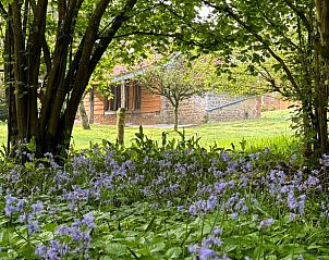 Guest house 0521802 - Holiday property North / Pa to Calais - Vakantiehuisje in Samer