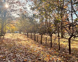 Guest house 0521802 - Holiday property North / Pa to Calais - Vakantiehuisje in Samer