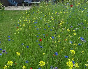 Verblijf 0522302 - Vakantiewoning Limburg - De Lokroep