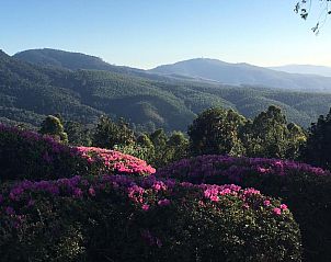 Verblijf 0526905 - Vakantiewoning Limpopo - Diggersrest Lodge