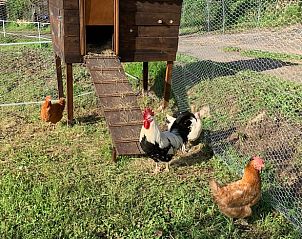 Verblijf 05417801 - Vakantiewoning Aquitaine - Huisje in Saint Cirq Madelon