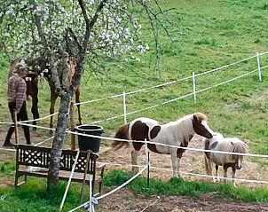 Verblijf 05417801 - Vakantiewoning Aquitaine - Huisje in Saint Cirq Madelon