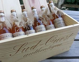 Unterkunft 05421708 - Ferienhaus Aquitaine - Vakantiehuisje in Monflanquin