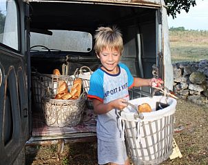 Unterkunft 05421708 - Ferienhaus Aquitaine - Vakantiehuisje in Monflanquin