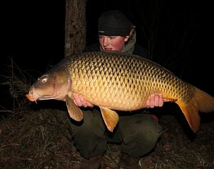 Guest house 05433104 - Holiday property Aquitaine - Maison Pradasse sur Lot