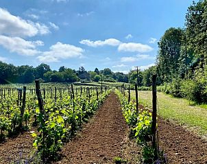 Verblijf 054378102 - Vakantiewoning Aquitaine - Vakantiehuis in Veyrines de Domme