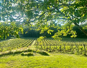 Verblijf 054378102 - Vakantiewoning Aquitaine - Vakantiehuis in Veyrines de Domme