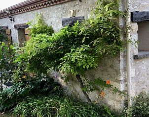 Verblijf 054604703 - Vakantiewoning Aquitaine - Huisje in Montayral