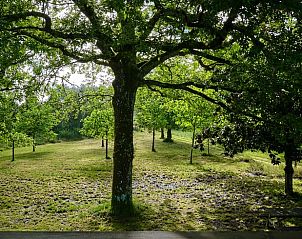 Guest house 05465002 - Holiday property Aquitaine - Vakantiehuisje in Castets