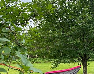 Verblijf 05476501 - Vakantiewoning Aquitaine - Vakantiehuis in Morcenx