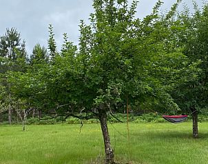 Verblijf 05476501 - Vakantiewoning Aquitaine - Vakantiehuis in Morcenx