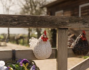 Decoratieve kippenbeeldjes op hek bij 't Paulsenhof vakantiehuis, Bocholt, Limburg, Belgi.