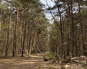 Verblijf 056008 - Stacaravan Limburg - Vakantieverblijf Shecoco