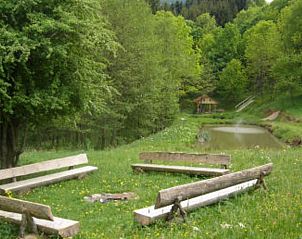 Verken de natuurlijke schoonheid rondom Huisje in Plainfaing, Lotharingen, met een vijver en groene omgeving als achtergrond.