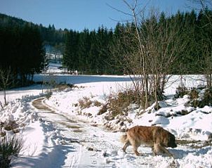Verblijf 0589601 - Vakantiewoning Lotharingen - Huisje in Plainfaing