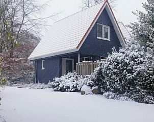 Guest house 060808 - Holiday property Friese bossen - Vakantiehuisje Gaasterland Oudemirdum