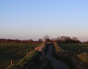 Guest house 060808 - Holiday property Friese bossen - Vakantiehuisje Gaasterland Oudemirdum