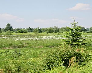 Verblijf 0610806 - Vakantiewoning Ardennen (Luik) - Le Moulin d'Ondenval
