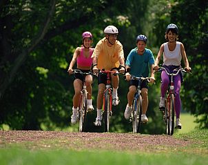 Verblijf 061615 - Vakantiewoning Ardennen (Luik) - Haute Levée